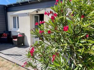 Vonkajšia záhrada v ubytovaní La fleur des marais