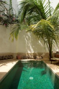 Bassein majutusasutuses Authentic Swahili style villa Milele House või selle lähedal