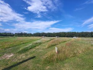 Afbeelding uit fotogalerij van Hoeve Twente - De Bonte Specht in Heythuysen
