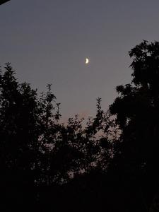 Afbeelding uit fotogalerij van Ferienhaus Mühlfeldner in Laufen +12 foto's