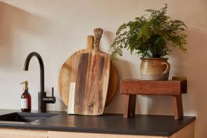 a kitchen counter with a sink and a potted plant at Yarn - Milo Deluxe King Suite in Ballycastle