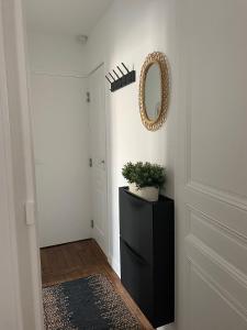 un couloir avec un miroir et une plante sur une commode dans l'établissement Havre de paix moderne, fibre,RER B direction Paris, à Fontenay-aux-Roses 8 autres photos