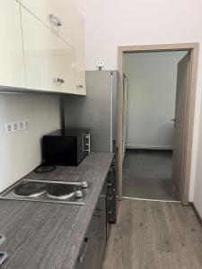 Kuchyňa alebo kuchynka v ubytovaní Star Apartment 2