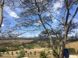 un albero con un bidone della spazzatura blu in un campo di Casa de campo a Paty do Alferes