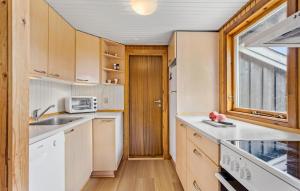 a kitchen with white appliances and a window at Beautiful Home In Sæby With Wifi in Sæby