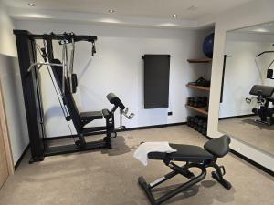 Fitness centrum a/nebo fitness zařízení v ubytování Hotel Piedibosco