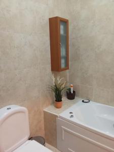 baño con aseo, armario y planta en Casa de Freixo, en Freixo de Espada à Cinta