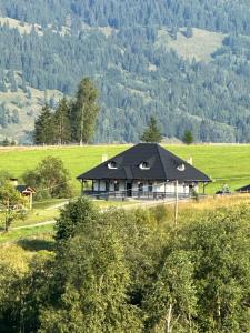 a large house with a black roof in a field at Casa Bunicii in Şarul Dornei