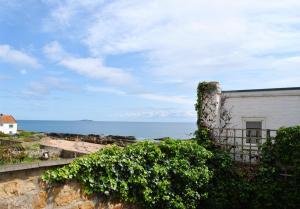 a building with vines growing on it next to the ocean at Kittiwake Cottage- stunning coastal cottage in Anstruther