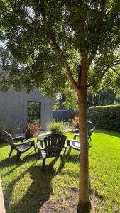 three park benches sitting under a tree in a yard at Casa Fresno Casas Atahualpa 2 in Mar del Plata +17 photos