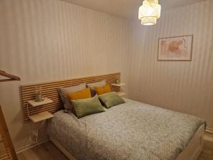 a bedroom with a large bed with colorful pillows at Appartement cosy 40 m2 - Centre historique Besançon in Besançon