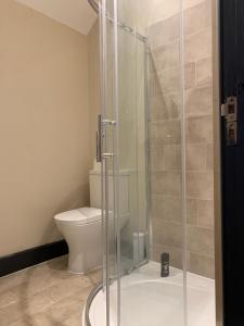 a bathroom with a toilet and a glass shower at Luxury modern apartment with free private parking in St. Albans +8 photos