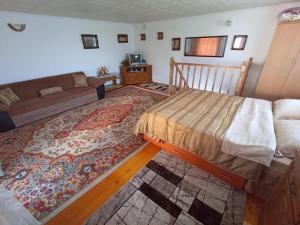 a living room with a bed and a couch at JJ Zavoi in Orăştie +56 photos