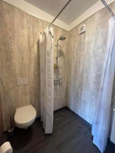 Ένα μπάνιο στο Bergistangi Apartment