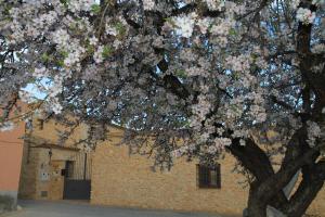 Fotografie z fotogalerie ubytování Alojamientos Rurales Cortijo Las Golondrinas v destinaci Alhama de Murcia
