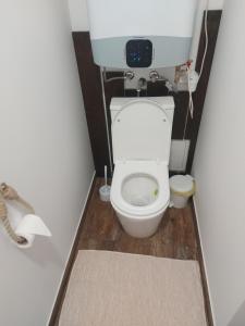 a small bathroom with a toilet in a room at Belvárosi apartmanház 2, Apartman 3 in Szigetvár +13 photos