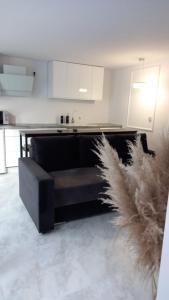 Η κουζίνα ή μικρή κουζίνα στο U Joli