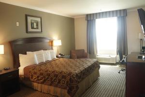 pokój hotelowy z łóżkiem i oknem w obiekcie Harbor Inn & Suites w mieście Anaheim +35 zdjęć