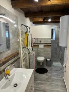 ein Badezimmer mit Waschbecken und Toilette in der Unterkunft Apartment Klingerček in Banská Štiavnica