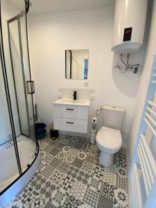 a bathroom with a toilet and a sink and a shower at Studio 1er étage - Centre-ville - Local vélos disponible in Mayenne