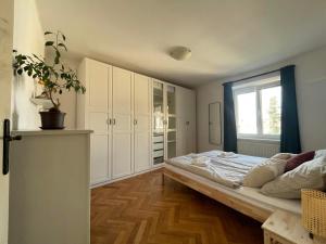 Fotografie z fotogalerie ubytování Apartmán pod kostelem ve Znojmě