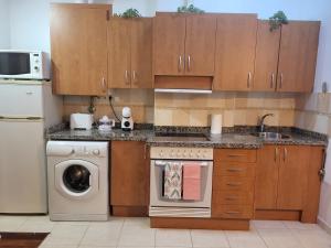 a kitchen with a washing machine and a dishwasher at Ca Na Martina in Carreña de Cabrales