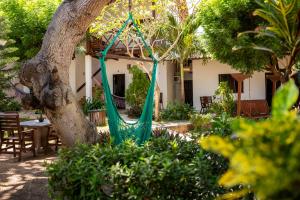 Um jardim em Casa Suiça Brasileira