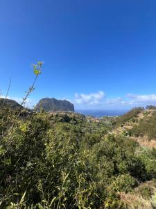 a view of the ocean from the hills at Revived in Porto da Cruz