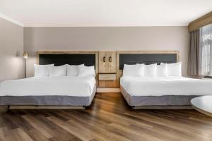 Postel nebo postele na pokoji v ubytování Best Western Plus Edmundston