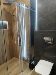 a bathroom with a toilet and a glass shower at Mazurskie Niebo Apartament 2 in Gołdap