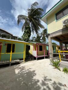 a row of colorful houses with a palm tree in the background at Barefoot Beach Belize in Caye Caulker