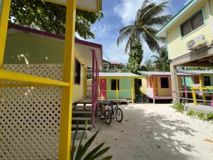a row of colorful houses on a beach at Barefoot Beach Belize in Caye Caulker