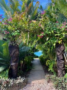 Zahrada ubytování Turtle Bay Beach House
