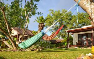 Zahrada ubytování Turtle Bay Beach House