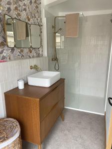 une salle de bain avec lavabo et douche dans l'établissement Studio Cosy, à Castanet-Tolosan 6 autres photos