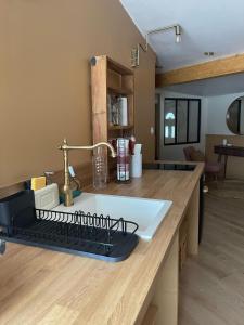 une cuisine avec un comptoir avec un évier et un plan de travail dans l'établissement Studio Cosy, à Castanet-Tolosan