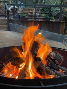 Billede fra billedgalleriet på casa da flor estúdio com lareira i Campos do Jordão