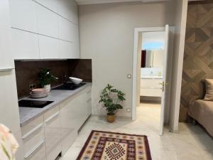 d'une cuisine avec des armoires blanches et une usine. dans l'établissement Extraordinaire grand studio au centre 6 minutes à pied de la plage et l'hôtel Negresco, à Nice 17 autres photos