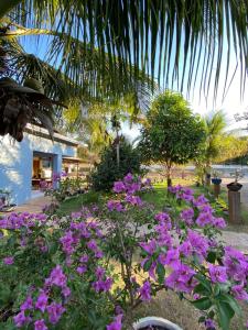 a garden with purple flowers in front of a house at Pousada Serra Azul in Estivado