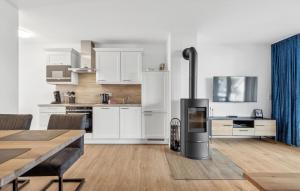 Kuchyň nebo kuchyňský kout v ubytování Schanzensicht