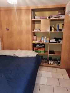 Zimmer mit einem Bett und einem Bücherregal in der Unterkunft SE ARRIENDA 1 HABITACION CASA HUECHURABA, Villa Las Bandurrias in Santiago