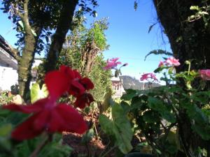 Gallery image of Lakleen holiday home in Nuwara Eliya +15 photos