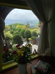 Nespecifikovaný výhled na hory nebo výhled na hory při pohledu z bed and breakfast