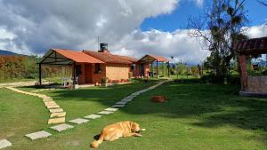 Κήπος έξω από το Cabañas rurales Mano de Oso Guasca