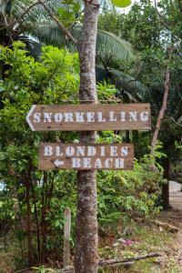 Certifikát, hodnocení, plakát nebo jiný dokument vystavený v ubytování Blondies Koh Rong Bungalow