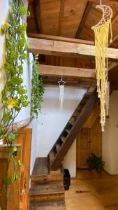 Galeriebild der Unterkunft The Coffee Bean Hostel in San Cristóbal de las Casas