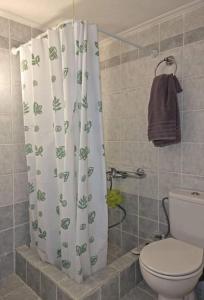 a bathroom with a toilet and a shower curtain at Jasmine maisonette in Kalamata +15 photos
