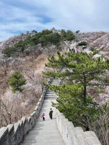 a couple of people walking down a stone stairs at Beijing Wuji Inn - The Great Wall of China Huanghuacheng in Beijing