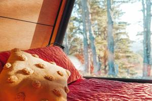 Afbeelding uit fotogalerij van Romantic luxury tiny home in an idyllic setting in Glenquarry