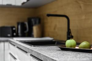 Kuchnia lub aneks kuchenny w obiekcie Apartment NH96 inklusive kostenfreiem Eintritt in die Alpentherme